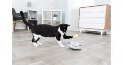 JUNIOR Snack & Play aktivní hra po koťata na pamlsky ø 18 cm TRIXIE