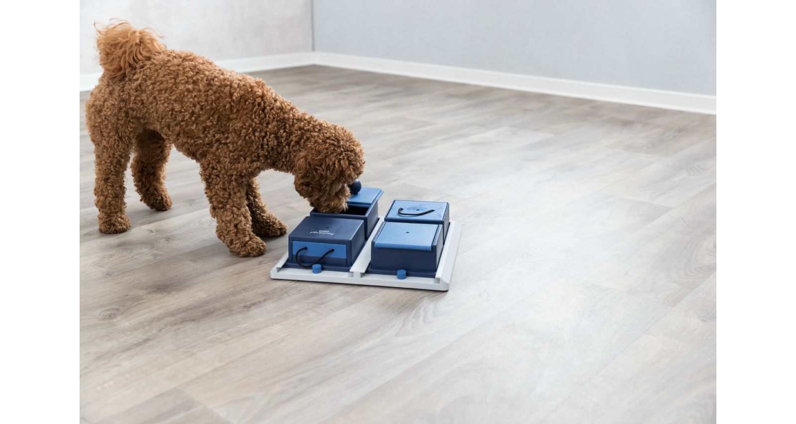 Dog Activity POCKER BOX 1 31x31 cm TRIXIE