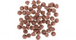 WILD BERRY drops, pamlsek pro hlodavce s lesními plody, 75 g TRIXIE