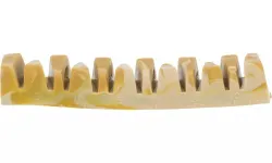 Denta Fun Veggie Jaw Bone, kost "čelist", 12 cm, 35g TRIXIE