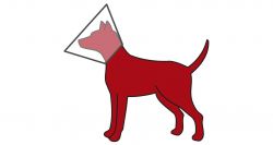 Ochranný límec 47-57/30cm (L-XL) TRIXIE