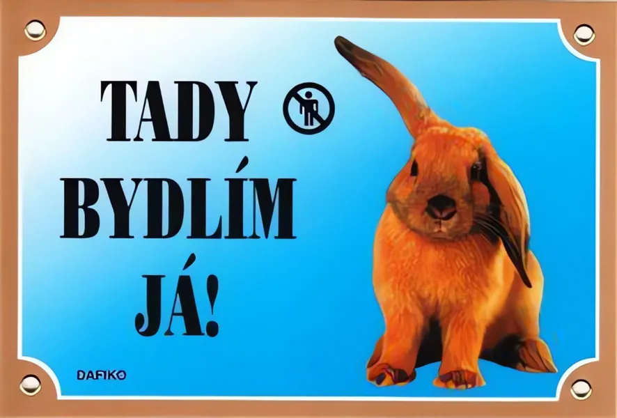 Barevná cedulka Pozor pes, Králík Dafiko