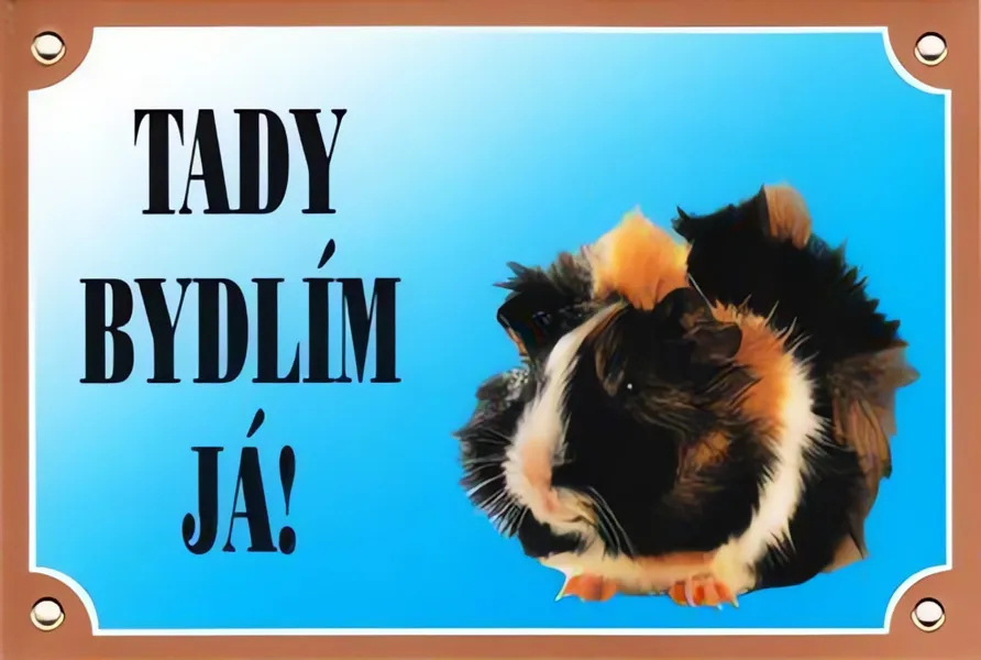 Barevná cedulka Pozor pes, Morče Dafiko