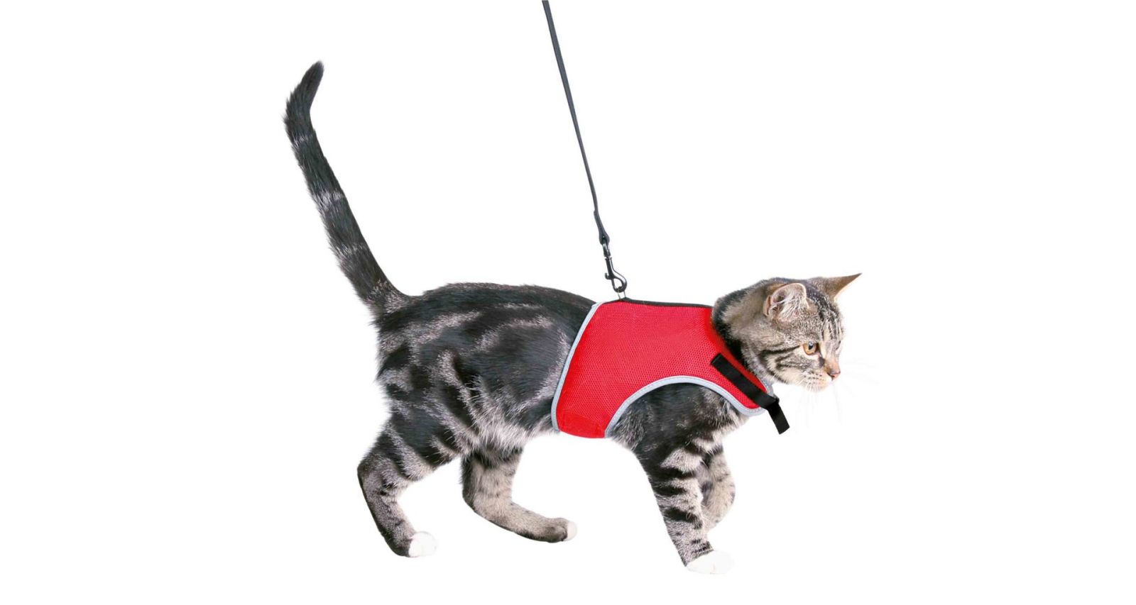 XCat postroj vestička pro kočky 24-42cm/1,20m TRIXIE