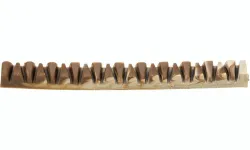 Denta Fun Veggie Jaw Bone kost "čelist", 22 cm, 85g TRIXIE