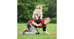 Dog Activity plastový létající talíř/disk 23 cm TRIXIE