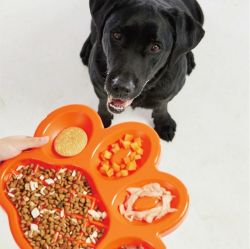 PetDreamHouse zpomalovací miska Paw Slow Feeder – oranžová