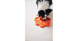 PetDreamHouse zpomalovací miska Paw Slow Feeder – oranžová