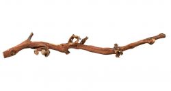 Přírodní dekorace do terária, větev z vinné révy L 45-70cm