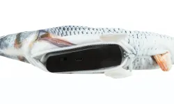 Ryba jako živá, mrskající se, s catnipem, látka, 30cm TRIXIE