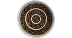 Keramická miska k pomalému krmení, kruhy, 0,45l / 14cm, šedomodrá