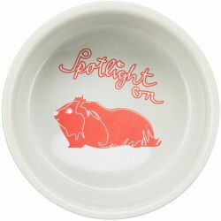 Keramická miska SPOTLIGHT pro morčata, 250 ml/ø 11 cm TRIXIE