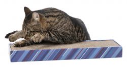 Škrábací karton SCRATCHY s catnipem 13x48cm TRIXIE