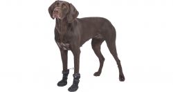 Walker Active Long M-L, ochranné boty pro psy, 2ks, černá