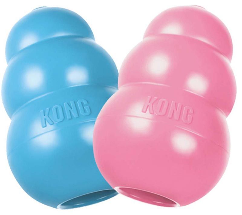 KONG Puppy granát S