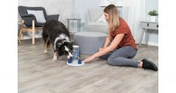 Dog Activity GAMBLE TOWER 25x33x25 cm TRIXIE