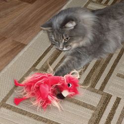 KONG Softies Frizz Bird pták