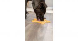 Lick´n´Snack HVĚZDA - podložka k pomalému krmení, 23,5 cm, silikon, žlutá