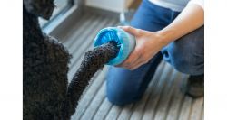 PAW CLEANER - kalíšek k čištění tlapek, S-M, silikon/plast, modrá TRIXIE