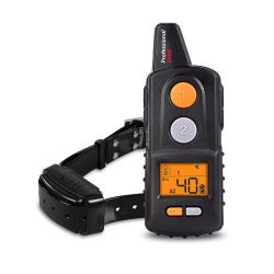DogTrace obojek d-control professional 2000