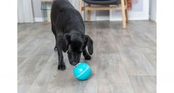 Snack Ball, míček na pamlsky 7,5 cm, plast, tyrkysová TRIXIE