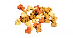 MINI TEDDY BEARS MIX - mini medvídci 2,5 kg
