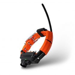 DogTrace DOG GPS X25TB Dog Trace
