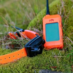 DogTrace DOG GPS X25TB Short Dog Trace