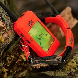 DogTrace DOG GPS X30 Short Dog Trace