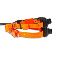 DogTrace DOG GPS X30B Short Dog Trace