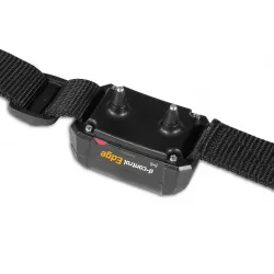 Elektronický výcvikový obojek pro psy d-control Edge 250 Dog Trace