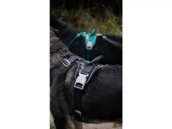 Hurtta postroj Weekend Warrior rubínová 80 - 100cm