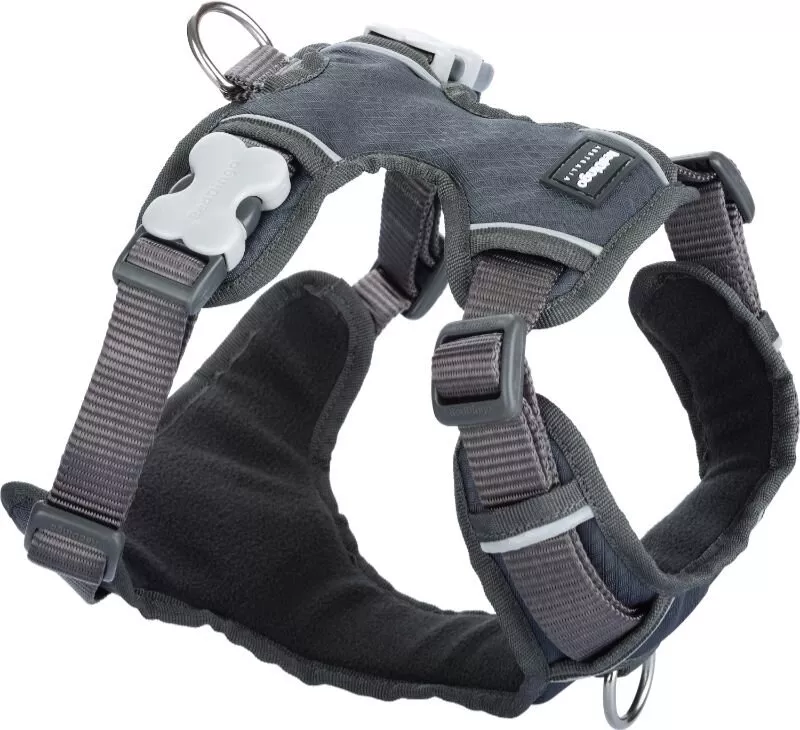 Postroj RD polstrovaný S 37-52cm - šedá Red Dingo
