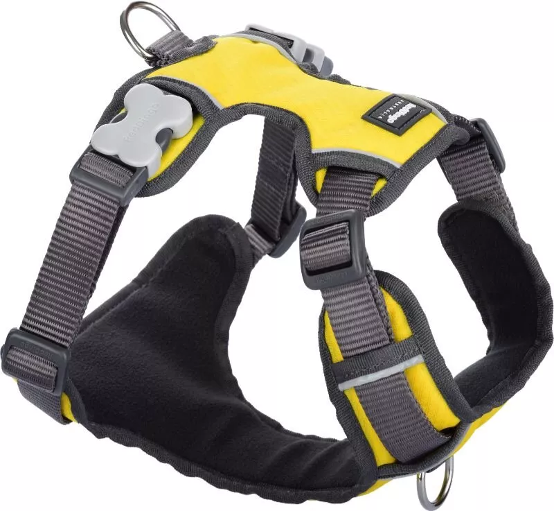 Postroj RD polstrovaný L 56-80cm - žlutá Red Dingo