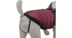 Zimní bunda PIROU s postrojem XS: 30cm, hruď: 42-46cm, krk: až 34cm - sangria TRIXIE