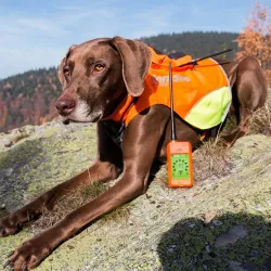 DogTrace Ochranná vesta pro psa DOG GPS - XS Oranžová/reflexní logo Dog Trace DogTrace Ochranná vesta pro psa DOG GPS - XS Oranžová/reflexní logo Dog Trace