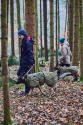 Non-stop dogwear Glacier dog jacket 2.0 WD 55cm - olivová