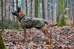 Non-stop dogwear Glacier dog jacket 2.0 WD 55cm - olivová