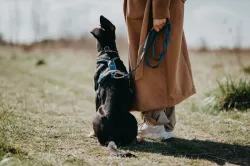 Non-stop dogwear Move Leash měkké vodítko 1,5m/10mm - modrá