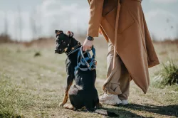 Non-stop dogwear Move Leash měkké vodítko 1,5m/10mm - modrá