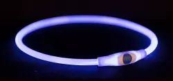 Flash light ring USB, blikací obojek, modrá