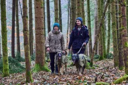 Non-stop dogwear Glacier dog jacket 2.0 WD 50cm - olivová