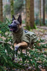 Non-stop dogwear Glacier dog jacket 2.0 WD 50cm - olivová