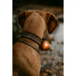 Orbiloc Amber LED světlo na obojek a postroj