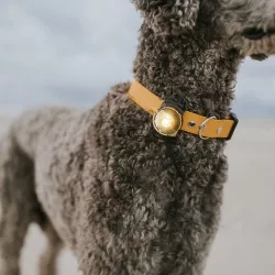 Orbiloc Gold LED světlo na obojek a postroj
