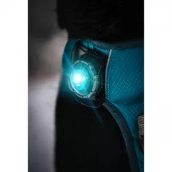 Orbiloc Turquoise LED světlo na obojek a postroj
