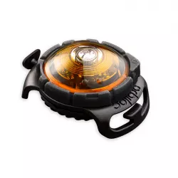 Orbiloc Yellow LED světlo na obojek a postroj