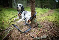 Non-stop dogwear vodítko Touring bungee adjustable leash 13mm