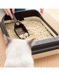 Cat&Rina WeVegetal kukuřičné stelivo pro kočky 5,5l Record Cat&Rina WeVegetal kukuřičné stelivo pro kočky 5,5l Record