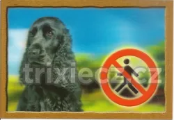 Cedulka 3D PSI, Anglický kokršpaněl černý Dafiko